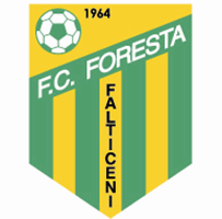 Foresta_falticeni